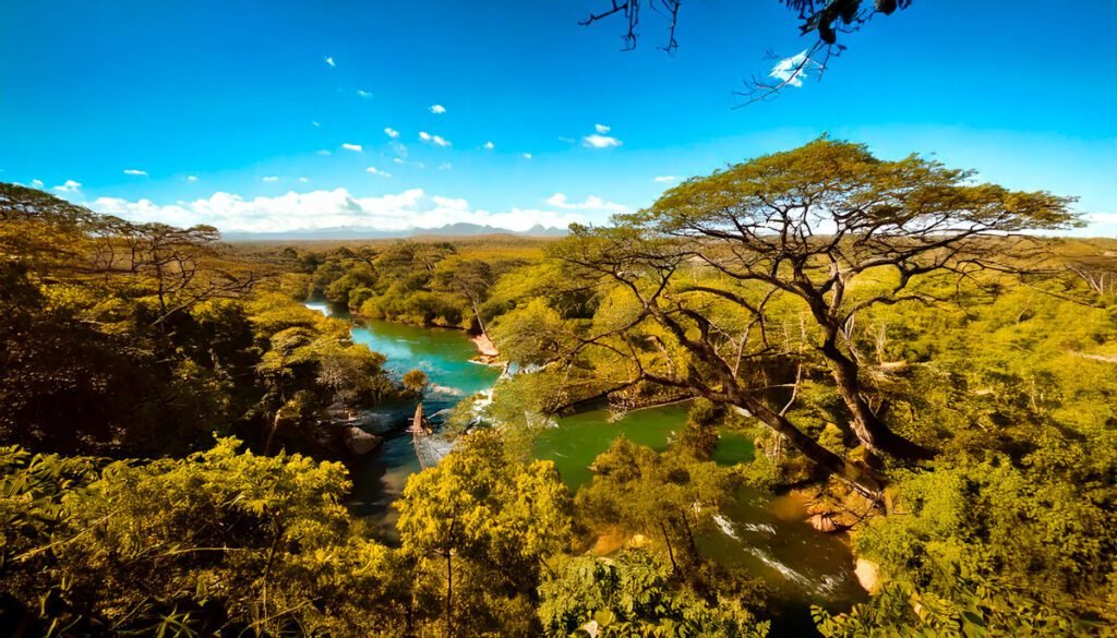 O Parque Nacional de Madidi, Bolívia